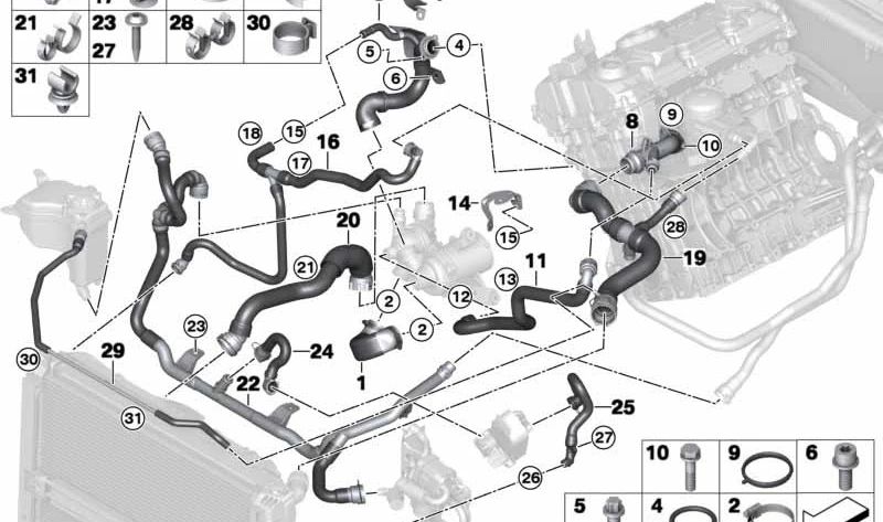 Manguera inferior radiador a termostato OEM 17127552404 para BMW E81, E82, E87, E88 (116i, 118i con motor N43). Original BMW.