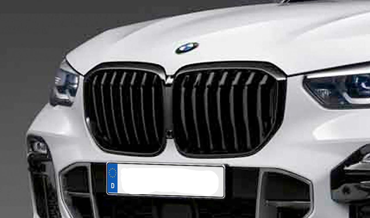 Decorative Grid M Performance OEM 51138096590 für BMW G05 (x5). Original BMW.