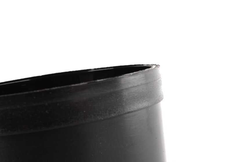 Soporte de matrícula cromado OEM 51118255006 para BMW E46 3er (316Ci, 318Ci) compatible con modelos producidos entre 1999 y 2006. Pieza original BMW.