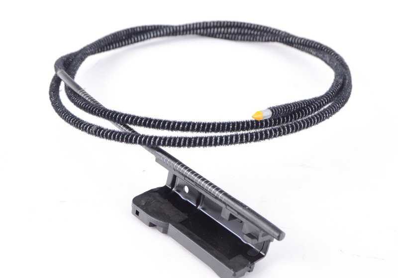 OM 54107387113 Cavo di vetro solare anteriore per BMW E70, E71, F15, F85. BMW originale.