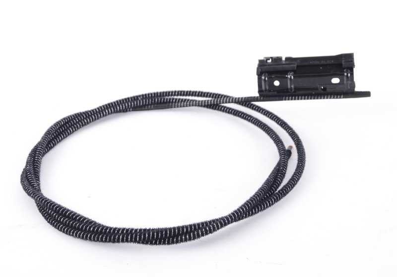 OM 54107387113 Cavo di vetro solare anteriore per BMW E70, E71, F15, F85. BMW originale.