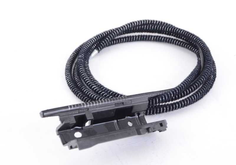OM 54107387113 Cavo di vetro solare anteriore per BMW E70, E71, F15, F85. BMW originale.