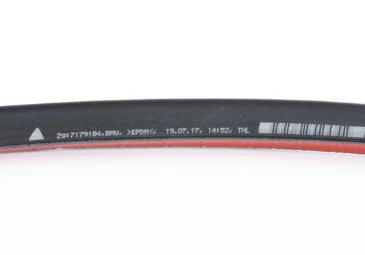 Burlete de puerta trasera OEM 51767179104 para BMW F02, F02N, F04. Original BMW.