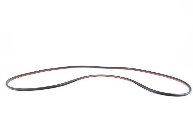 Burlete de puerta trasera OEM 51767179104 para BMW F02, F02N, F04. Original BMW.