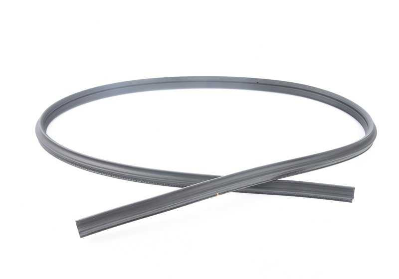 Linke Türversiegelungsband für BMW 1 E88 -Serie (OEM 51767164993). Original BMW.