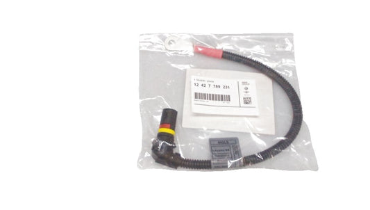 Cable del sistema de precalentamiento OEM 12427789231 para BMW E46, E90, E91, E92, E60, E61, E63, E64, E65, E66, E83, E53. Original BMW.