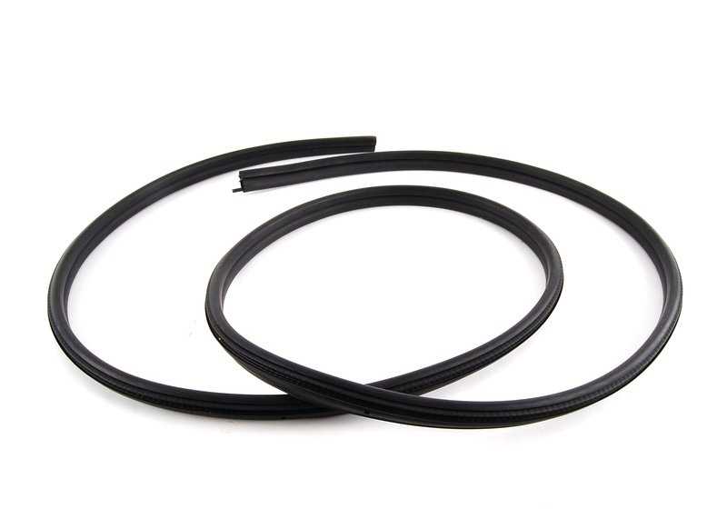 Haustürgelenk für BMW E36 (OEM 51728196291). Original BMW