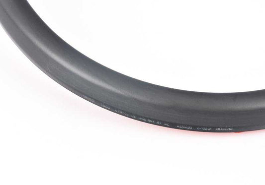 Junta de puerta trasera derecha OEM 51229070562 para BMW E39 {520d, 520i} todos los modelos compatibles. Original BMW.