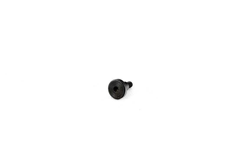 Tornillo para sensor de ángulo de giro OEM 54347073382 para BMW E46. Original BMW.