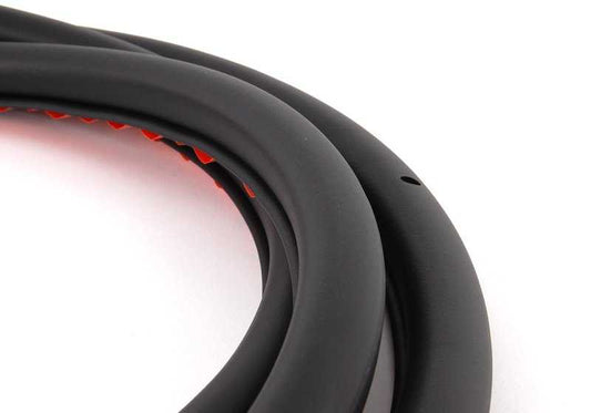 Carte de porte arrière pour la série BMW 5 E39 (OEM 51229069324). BMW d'origine