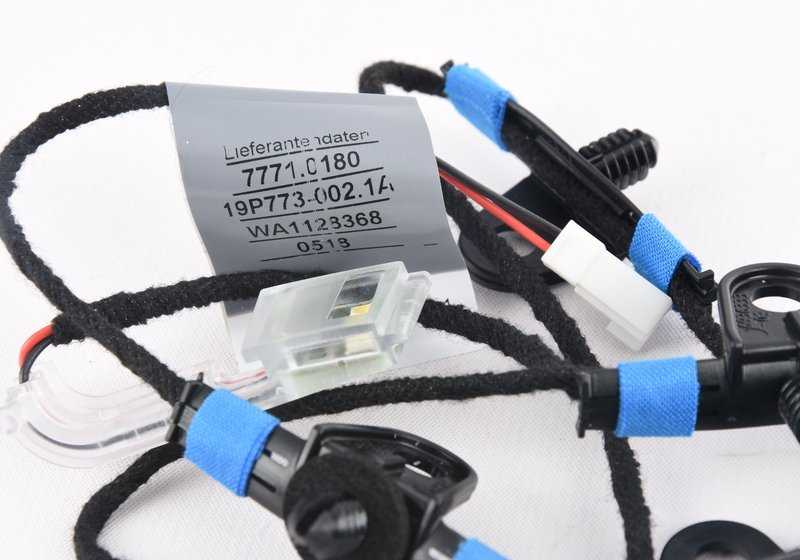 Iluminación de la manija de la puerta izquierda para BMW X3 F25, X4 F26 (OEM 63177473683). Original BMW