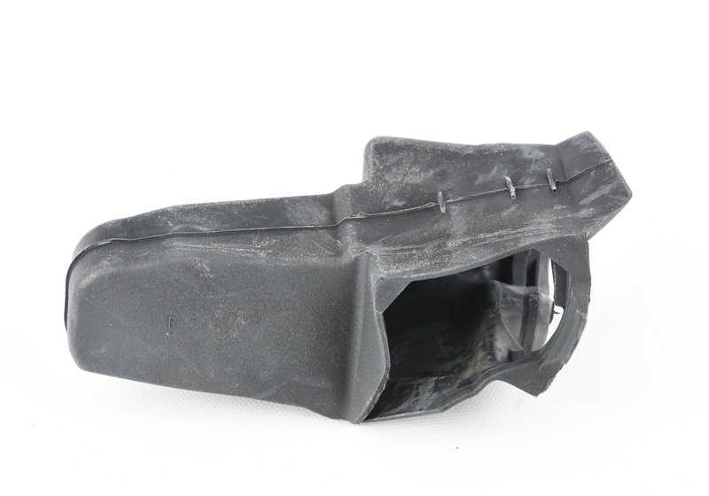 Suise de frein à porte arrière droite pour la série BMW 3 E46 (OEM 51228231996). BMW d'origine