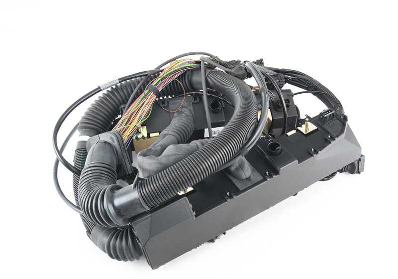 Cableado motor módulo de control OEM 12517513340 para BMW E53. Original BMW.