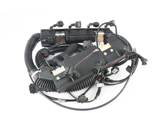 Cableado motor módulo de control OEM 12517513340 para BMW E53. Original BMW.