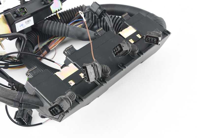 Cableado motor módulo de control OEM 12517513340 para BMW E53. Original BMW.