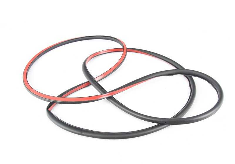 Sellado de puerta delantera OEM 51767317852 para BMW F16, F86. Original BMW.