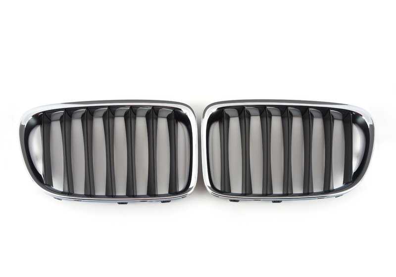 Rejilla decorativa frontal OEM 51117347667 para BMW E84. Original BMW.