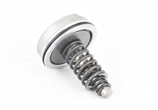 Pistão para BMW E36, E34, E39, E32, E38 (OEM 24231219440). BMW original.