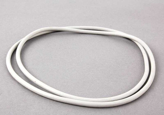 Placa de luz traseira OEM 63211360807 para BMW E24. BMW original.