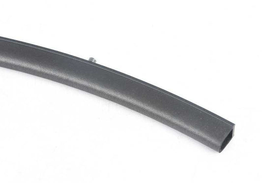 Placa frontal para BMW X5 F95, G05, G18, X6 F96, G06 (OEM 51767418174). BMW original.