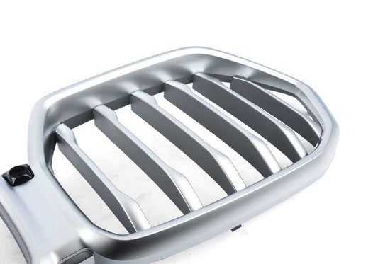 Front decorative grille for BMW X6 G06 (OEM 51138494884). Original BMW
