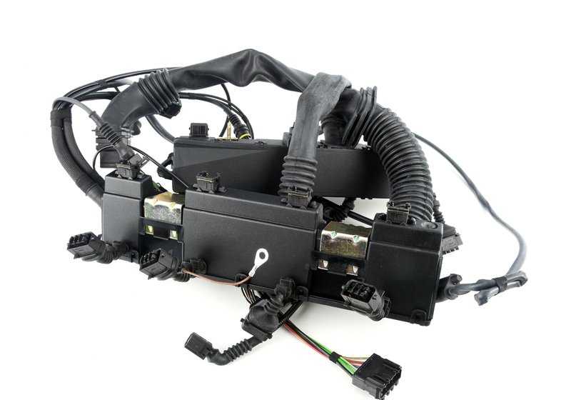 Arnés de cableado motor OEM 12517503647 para BMW Serie 5 E39. Original BMW.