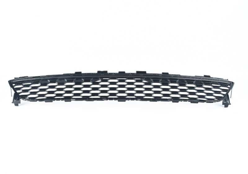 Lower Central Grid OEM 51118069887 for BMW X7 G07 (XDRive30D, XDRIVE40D, XDRIVE40I, XDRIVE50I, XDRIVERM50D, XDRIVERM50I). Original BMW.