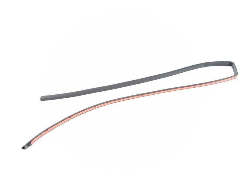 Junta de techo OEM 51767201661 para BMW F07 y F07N. Original BMW.