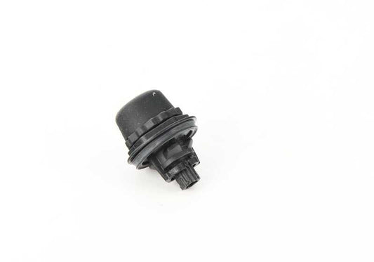 Portão traseiro para BMW Series 2 U06, X1 U11, U12, X2 F39, X3 F97, G01, G01N, G08, G08N (OEM 51247453842). BMW original
