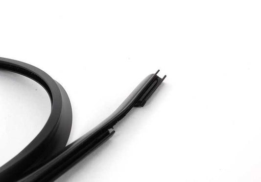 Junta esquerda OEM 51717125691 para BMW Z4 E85, E86. BMW genuíno.