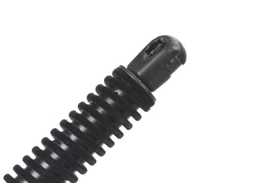 Gas Spring for Tailgate for BMW F06 (OEM 51247360583). Original BMW.