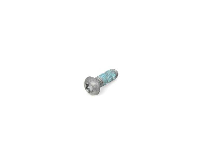 Tornillo de freno OEM 34117709137 para BMW E70, F15, F85, E71, F16, F86 y Motorrad K70, K72, K75, K42, K46, K47, K67, K69. Original BMW y BMW Motorrad.