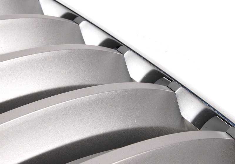 Rejilla decorativa delantera izquierda OEM 51137185223 para BMW X5 E70, X5 E70 LCI, X6 E71, X6 E72 Hybrid. Original BMW.