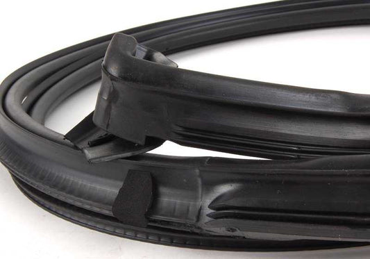 Rubber Board OEM 5171827910 ceiling for BMW E46 318CI (BP71, BP72, BP81, BP82, BW71, BW72, BW81, BW82, By71, By72). Original BMW.