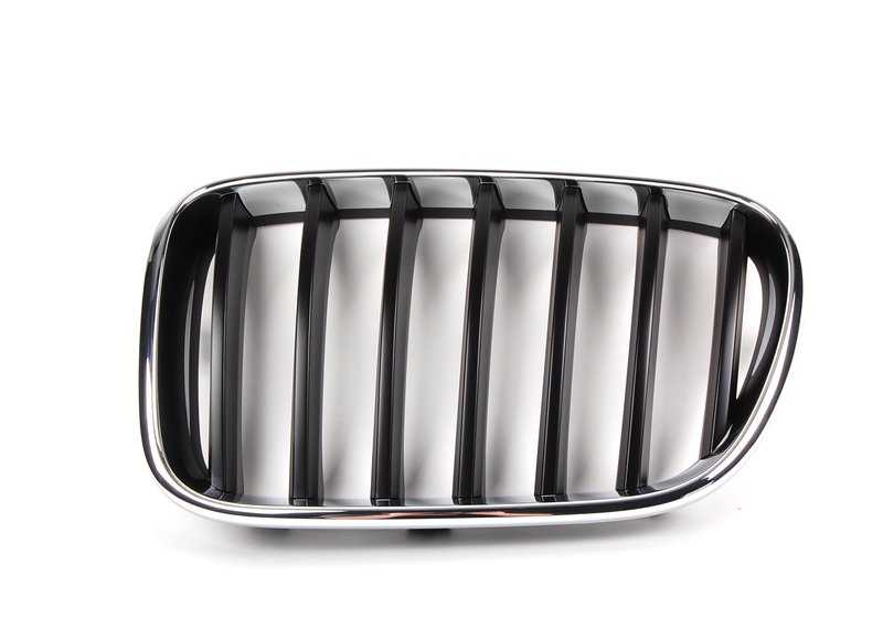 Rejilla delantera izquierda OEM 51117210725 para BMW F25. Original BMW.