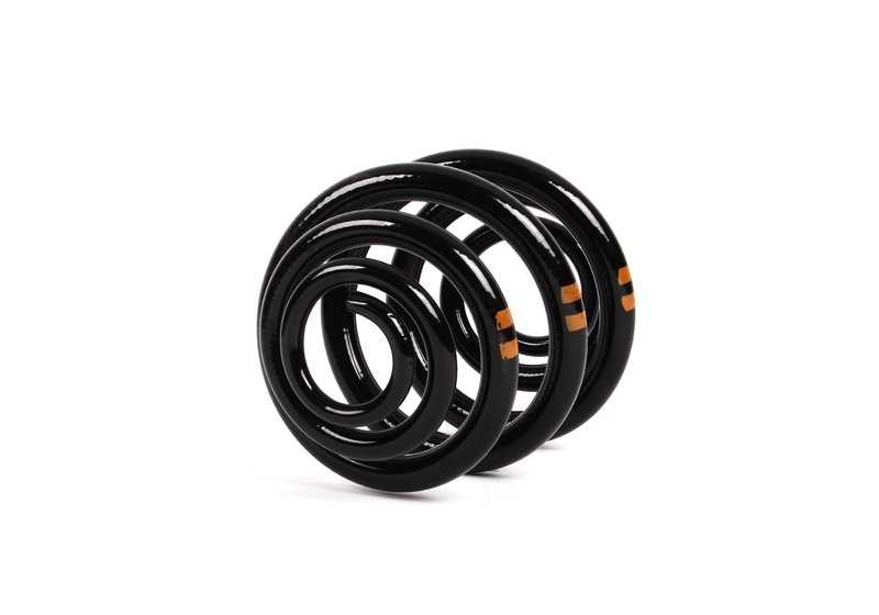 Muelles traseros OEM 33536750250 para BMW E36, E46, E83, E85, Z3, Z4. Recambio original BMW.