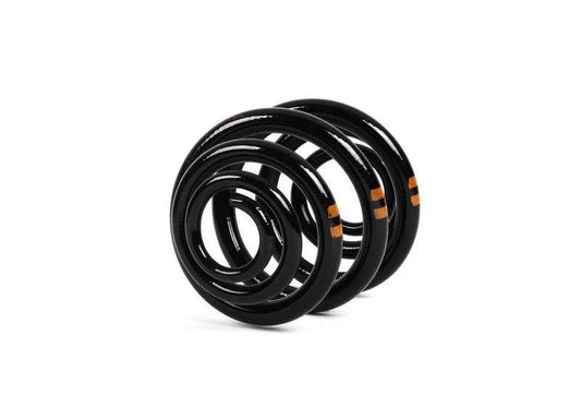 Muelles traseros OEM 33536750250 para BMW E36, E46, E83, E85, Z3, Z4. Recambio original BMW.