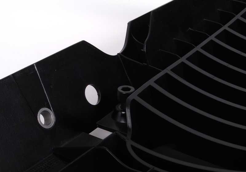 Marco de Rejilla Decorativa delantera para BMW Serie 7 E65, E66, E67 (OEM 51138268325). Original BMW