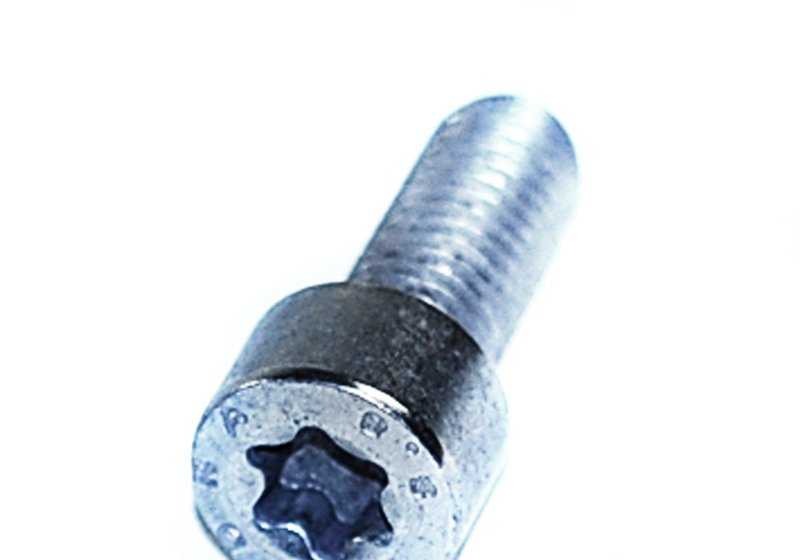 Tornillo cilíndrico M10X25 OEM 07129905534 para BMW E36, E46, E39, E60, E61, X3 E83, X5 E53, Z4 E85... y más. Original BMW.