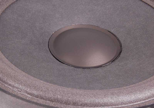 Altavoz de graves HiFi OEM 65138368238 para BMW E46. Original BMW.