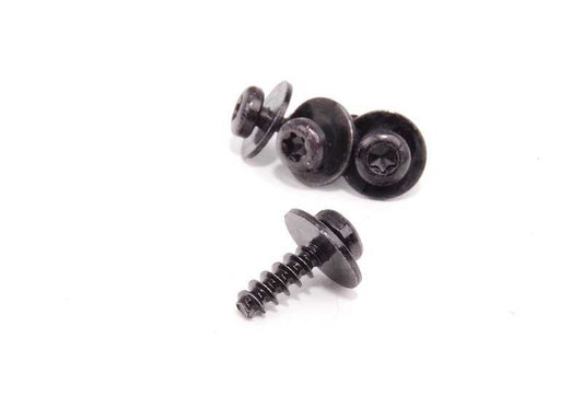 Juego Soporte Paraviento Portón Trasero para BMW Z4 E85 (OEM 54347117751). Original BMW