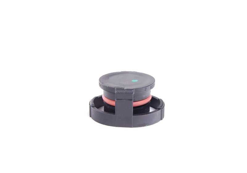 Tapón ciego OEM 11617596034 para MINI R56, R55, R57, R58, R59, R60, R61 y BMW F20, F21, F30, F31... y más. Original BMW y MINI.