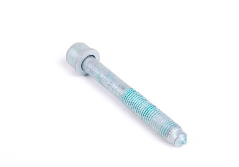 Botón cromado mando radio OEM 65129185188 para BMW X3 E83 (modelos 1.8d, 2.0d, 2.0i, 2.0sd). Compatible con radios Business CD, Basic CD, Navigation y CID. Original BMW.