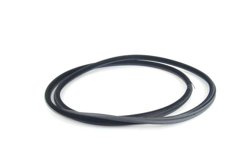 Protector de borde trasero OEM 51727025580 para BMW X5 E53. Original BMW.