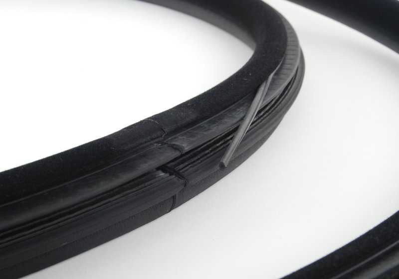 Protector de borde trasero OEM 51727025580 para BMW X5 E53. Original BMW.