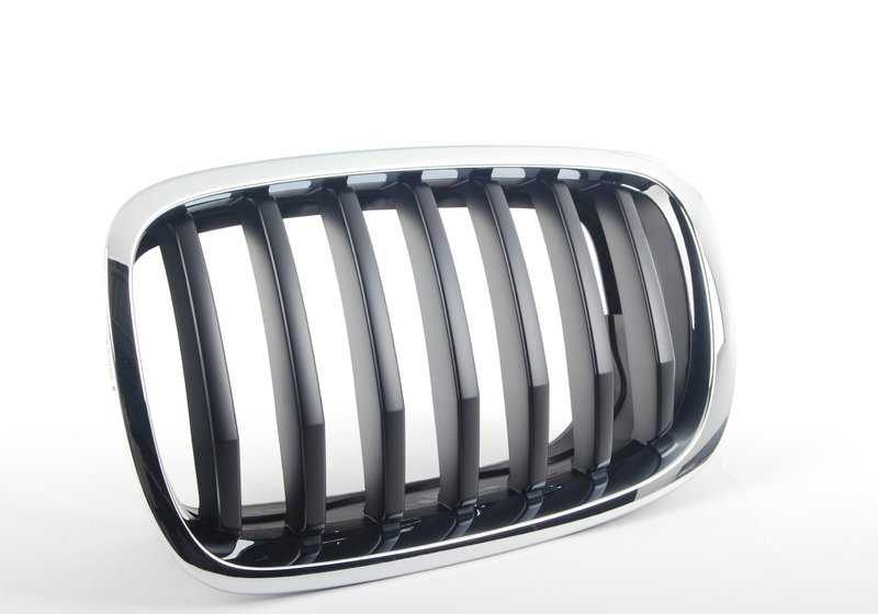Rejilla frontal izquierda OEM 51137305589 para BMW E70, E71. Original BMW.
