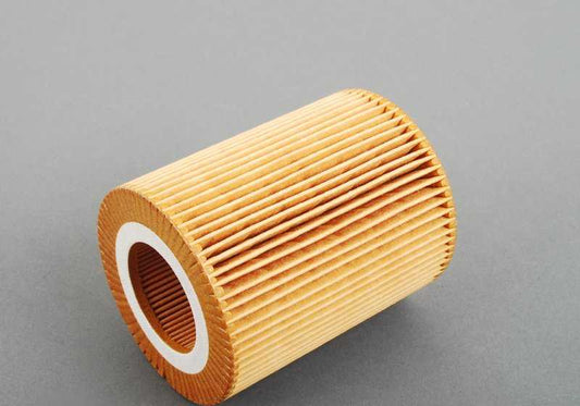 Kit de revisión completa Inspección II OEM 88002157561 para BMW E39. Incluye filtro de aceite, 6 bujías, filtro de aire y microfiltro. Todo original BMW para mantenimiento integral.