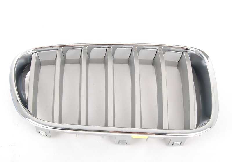 Rechte vordere dekorative Gitter in der Titanfarbe 51117237422 für BMW X3 F25 (bis zum 04.04.2014). Original BMW.