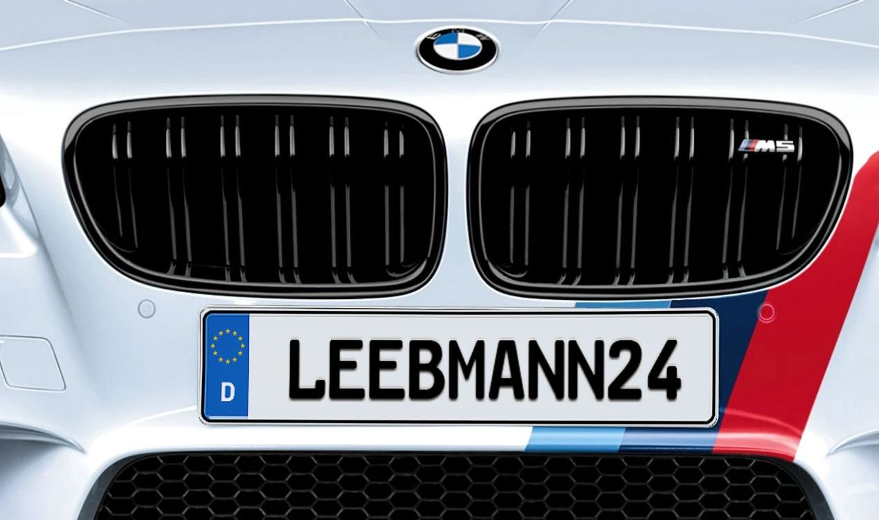Rejilla M Performance para BMW Serie 5 F10 (OEM 51712352807). Original BMW