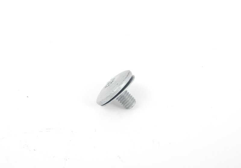 Torxschraube mit Waschmaschine OEM 07149141669 für BMW E46, F91, G14, E85, E86, I12. Original BMW